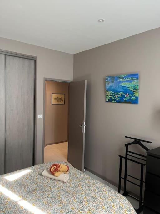 Superbe Appartement Plein Centre Millau Exterior photo